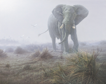 Denizen In The Mist- Signed By The Artist								 – Canvas Giclee
								 – Limited Edition
								 – 180 S/N
								 – 
								40 x 50