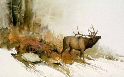 Autumn Challenge – Elk- Signed By The Artist								 – Paper Lithograph
								 – Limited Edition
								 – 950 S/N
								 – 
								17 5/8 x 29 5/8