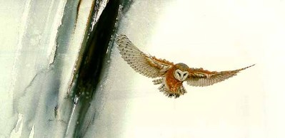 Edge Of Night – Barn Owl- Signed By The Artist								 – Paper Lithograph
								 – Limited Edition
								 – 950 S/N
								 – 
								16 1/2 x 33								
								 –