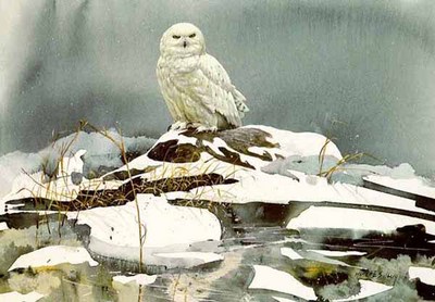 Winter White- Signed By The Artist								 – Paper Lithograph
								 – Limited Edition
								 – 750 S/N
								 – 
								10 3/4 x 15 1/8