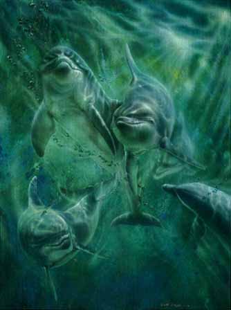 Cool Water – Dolphins- Signed By The Artist								 – Paper Lithograph
								 – Limited Edition
								 – 950 S/N
								 – 
								30 x 22 1/2