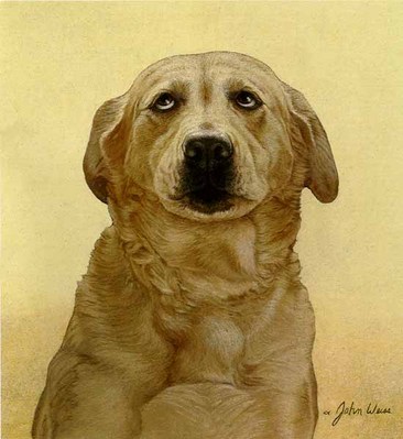 I Didn’t Do It- Signed By The Artist								 – Paper Lithograph
								 – Limited Edition
								 – A/P
								 – 
								11 5/8 x 10 1/4