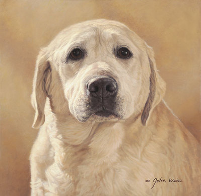 Maggie: Portrait Of A Friend- Signed By The Artist								 – Paper Lithograph
								 – Limited Edition
								 – 550 S/N
								 – 
								14 1/4 x 14