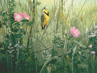 Song Of The Meadow- Canvas Giclee
								 – Open Edition
								 – Fine Art
								 – 
								16 x 21