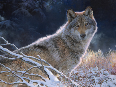 Frosty Winter- Signed By The Artist								 – Canvas Giclee
								 – Limited Edition
								 – 50 S/N
								 – 
								21 x 28